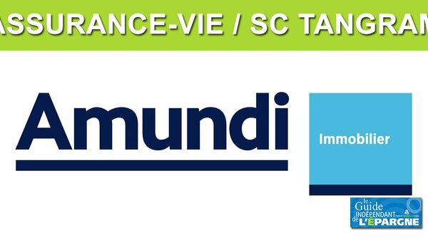 Assurance-vie : La SC Tangram désormais disponible sur de multiples contrats en ligne