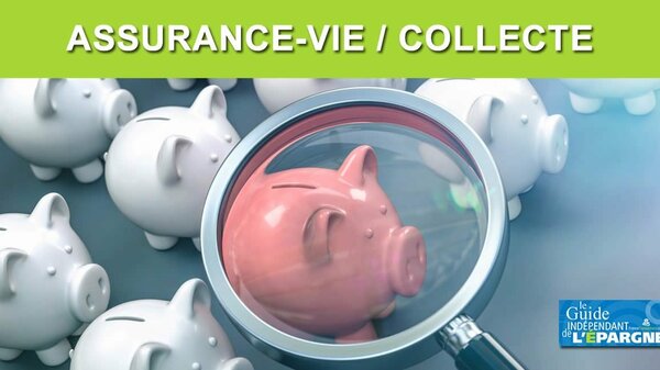 Assurance-vie : plus de 11 milliards d'euros versés en mai, avec un record historique de collecte sur les unités de compte